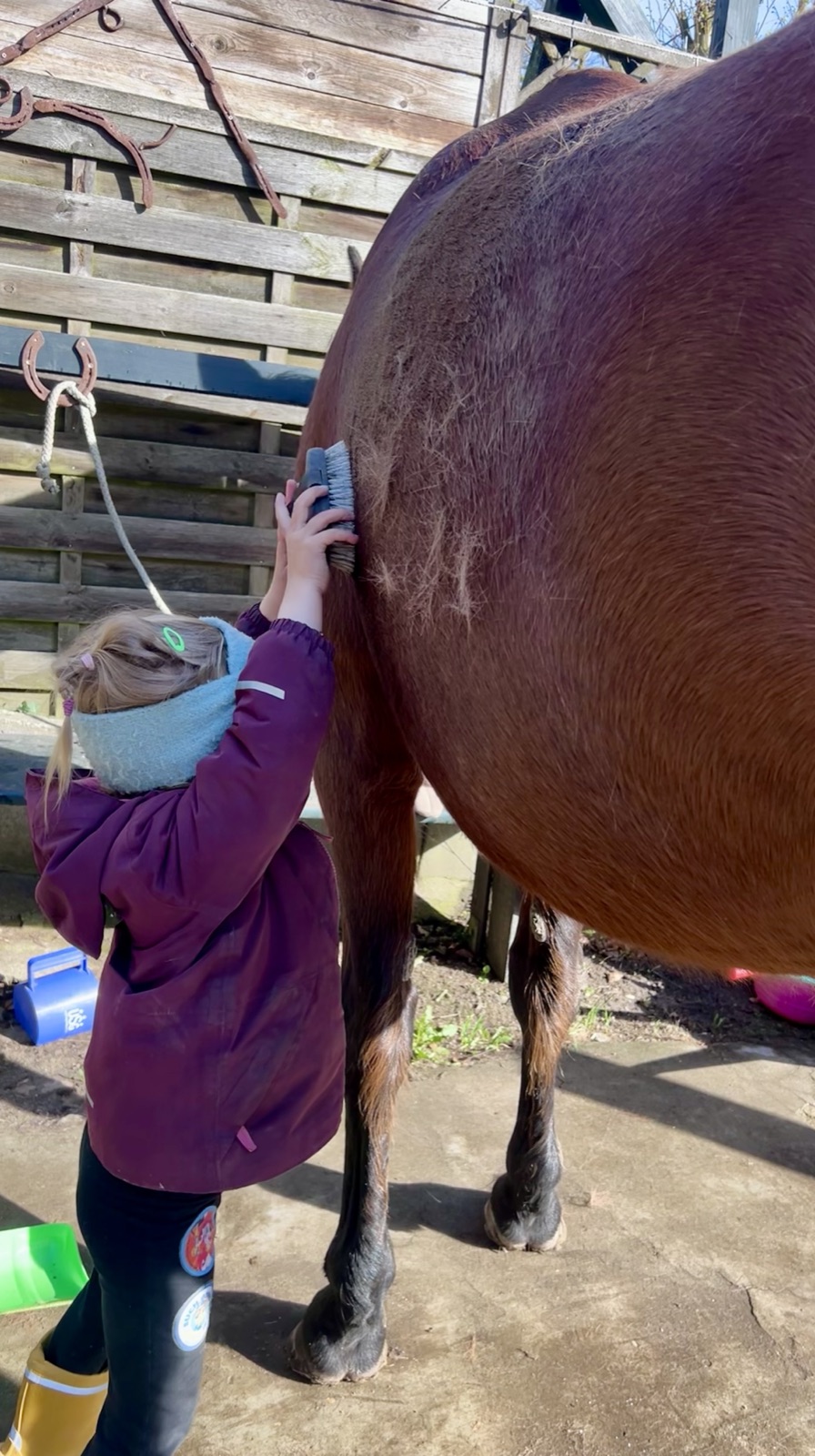 Kind bürstet Pferd im Stall