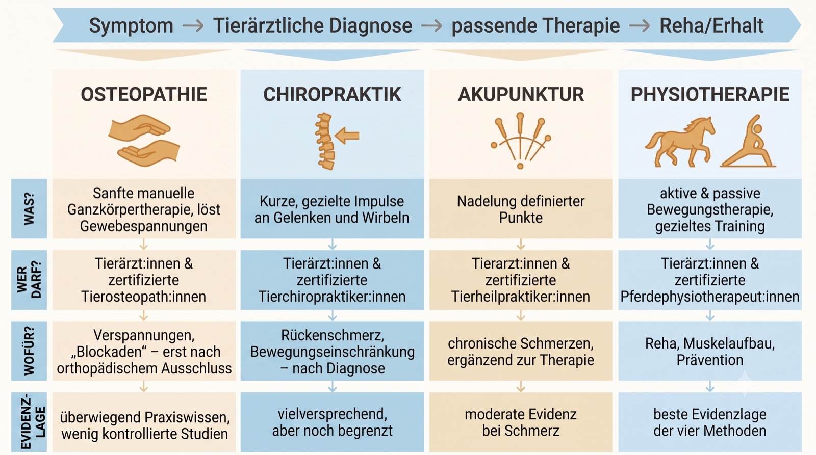 Übersicht: Osteopathie, Chiropraktik, Akupunktur und Physiotherapie beim Pferd im Vergleich - was sie tun, wer behandeln darf, wofür sie eingesetzt werden und wie gut sie belegt sind