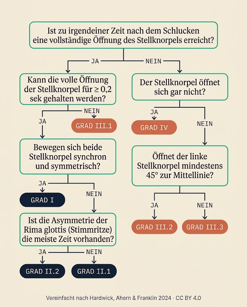 Entscheidungsbaum mit Ja-Nein-Fragen zur Einstufung der Kehlkopffunktion: Öffnet der Stellknorpel nach dem Schlucken vollständig, wird die Öffnung mindestens 0,2 Sekunden gehalten, bewegen sich beide Seiten symmetrisch - die Antworten führen zu den Havemeyer-Graden I bis IV.